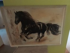 Dachbodenfund:Pferde Bild Von