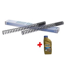 Ein Paar Wirth Gabelfedern mit