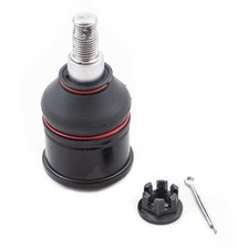 Traggelenk vorne L/R unten