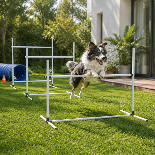 Agility set hunde - set, hürdenset