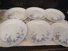 6 Kuchenteller Schirnding Bavaria blaue Blütenzweige 19,3 cm