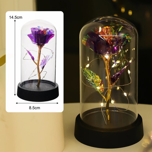 Eternal rose glass - eternal,