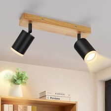 ZMH Deckenstrahler 2 Flammig