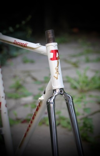 Daccordi griffe frame - daccordi, /
