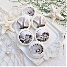 6 x Gästeseife Maritim Muscheln Handseife Duftseife Seife Badezimmer WC Deko