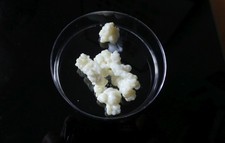 Kefirknollen für Milchkefir -
