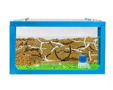 Ameisenfarm aus natürlichem Sand - 3D Starter Set 20x10x10 (Gratis Ameisen)