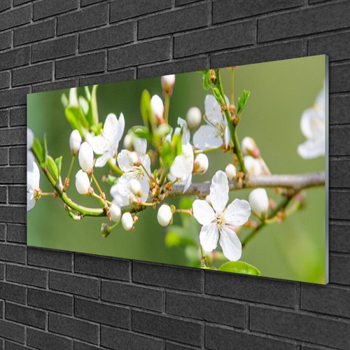 Glasbilder 100x50 wandbild - 100x50,