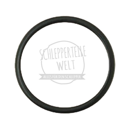 Dichtring ölpumpe passend - dichtring,