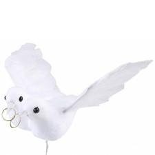 Taubenpaar Turteltauben Tauben