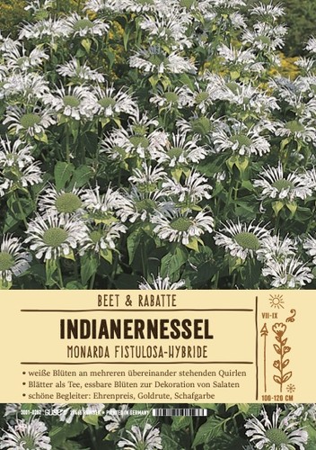 Monarda hybr - monarda,