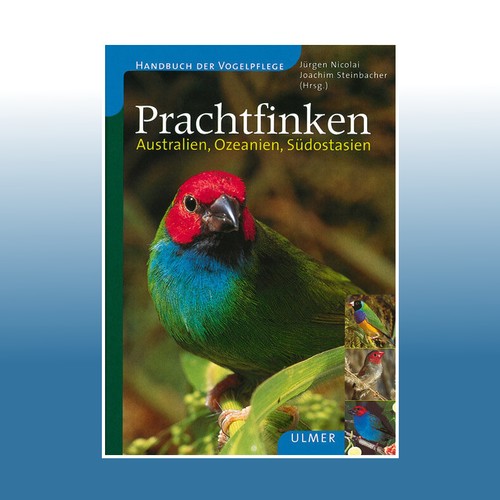 Prachtfinken jürgen nicolai - prachtfinken,