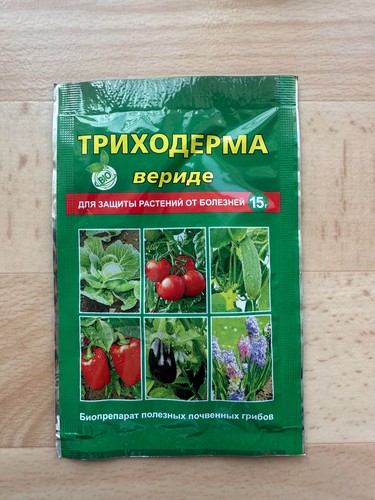 Trichoderma viride - trichoderma,