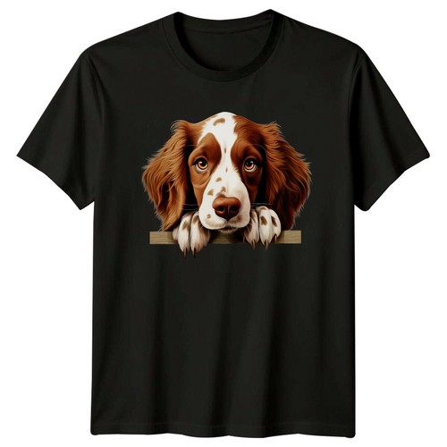 Springer spaniel welpe hund - springer,