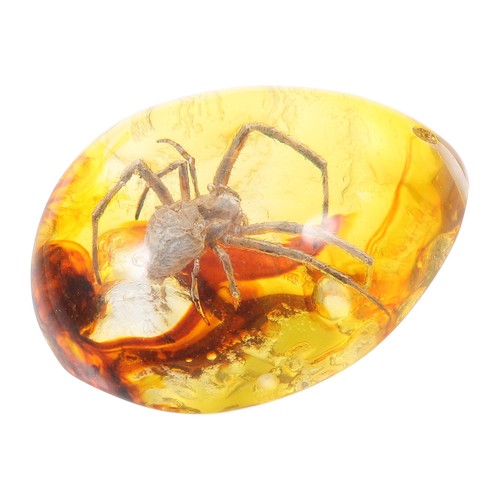 Harz bernstein spinne - ,