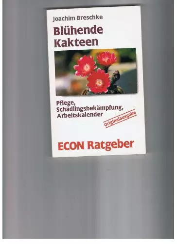 Blühende kakteen pflege - blühende,