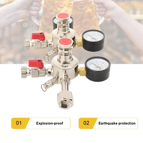 Co2 doppel druckminderer - co2, 2x