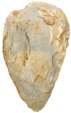 Paläolithikum  Seltener