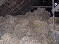 Strohballen aus Weizen, klein