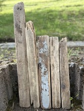 5 Treibholz Schwemmholz L