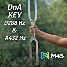 DNA Key Giant Stimmgabel Set