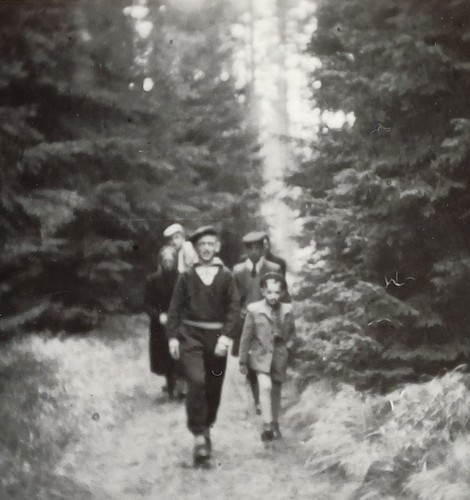 Familie wandert stramm - im, wald