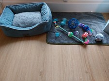 Katzen Körbchen, Decke, Spielzeug