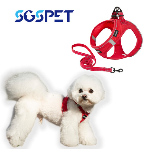 Kleiner hund atmungsaktives - kleiner,