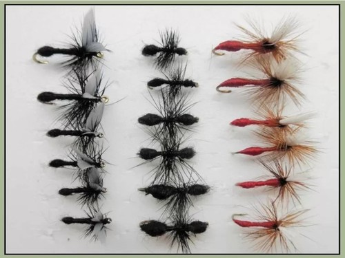 18er pack barbless ameisen - pack,