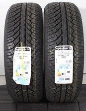 2 x 215/65R15 96H Winterreifen