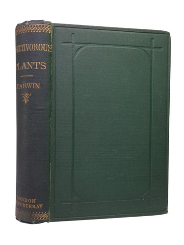 Insectivorous plants - plants, by