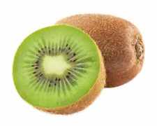Kiwi Pflanze 70 cm Actinidia deliciosa - Chinesische Stachelbeere