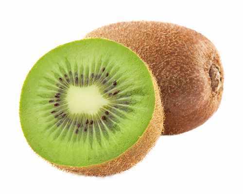Kiwi pflanze actinidia - pflanze, cm