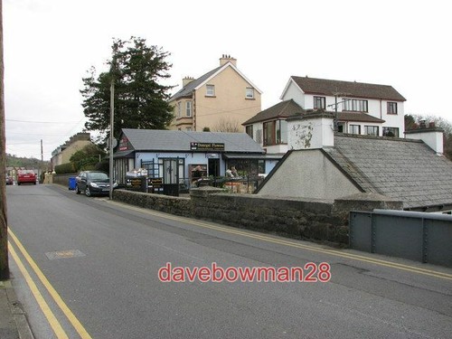 Foto donegal blumen - donegal, ein