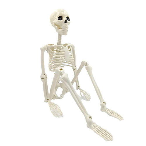 Halloween dekorationen skelett - halloween-dekorationen,