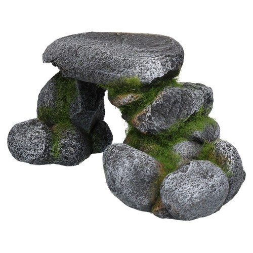 Wasser aquarium deko moos - wasser,