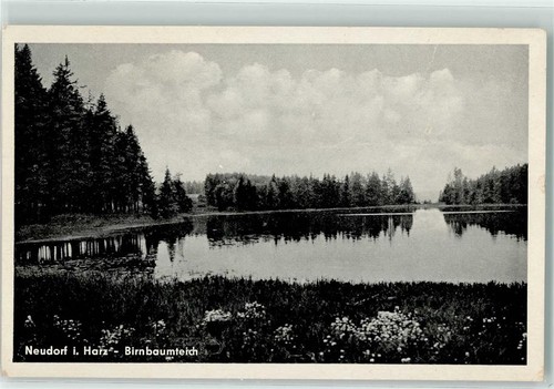 39242911 4301 neudorf - 39242911,