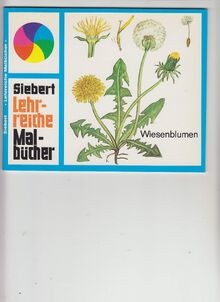 Lehrreiche malbücher - lehrreiche,
