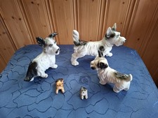 Kleine Terriersammlung, Hunde