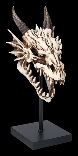 Drachen totenkopf auf - drachen,