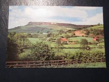 Postkarte des weißen Pferdes