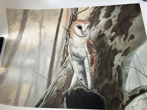 Charles fracé barn owl - fracé, –