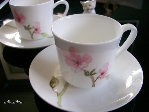 Rosenthal fine bone china - rosenthal, jade