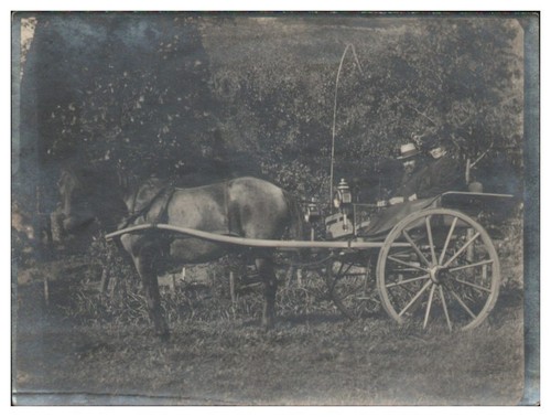 Xx2752 kutsche einspänner - xx2752/,