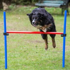 PROCYON Obedience Hürde -
