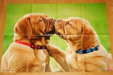 ✿Riesen-Tier-Poster HUND