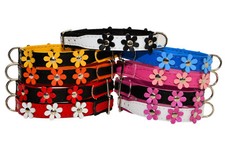 Echtes Weiches Leder Hund