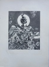 Lithografie DDR Ursula