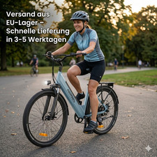 Milecity elektrofahrrad 250w - milecity,