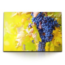 120x80cm Wandbild auf Leinwand